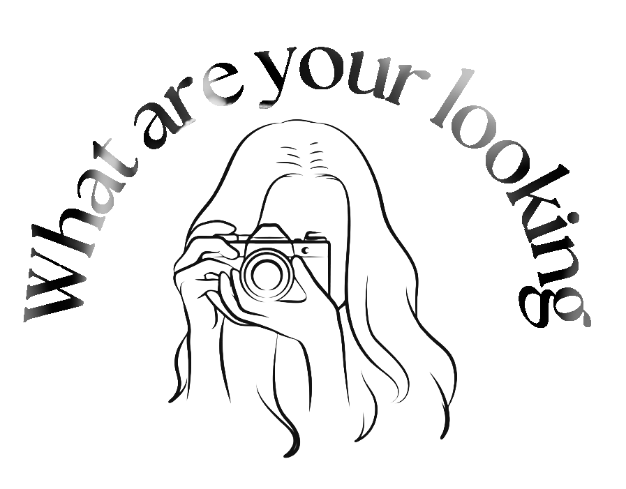 whatareyoulooking.dk